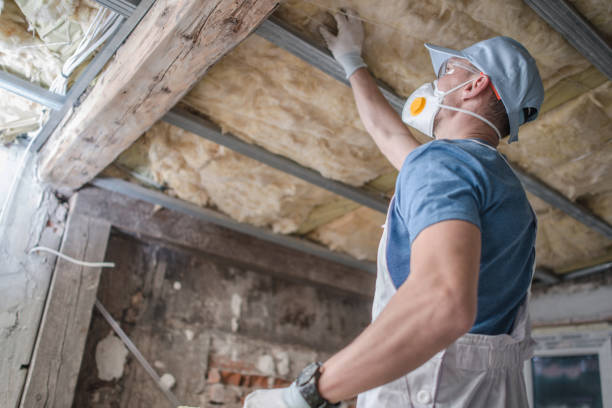 Best Insulation Installation Services in San Pablo, NM